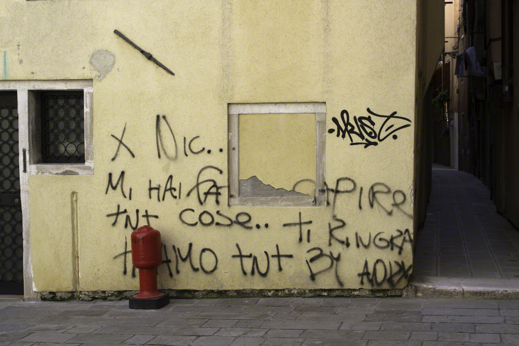 Paolo Doyle - Alternative Venice Biennale (2).