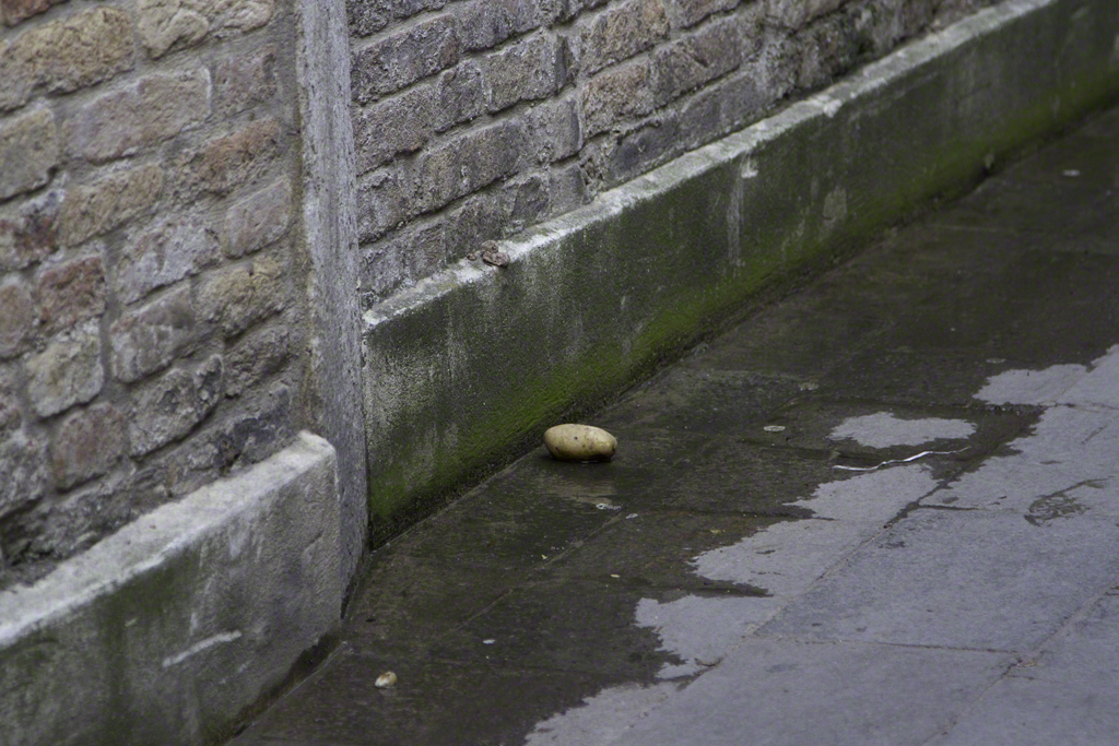 Paolo Doyle - Alternative Venice Biennale (5).